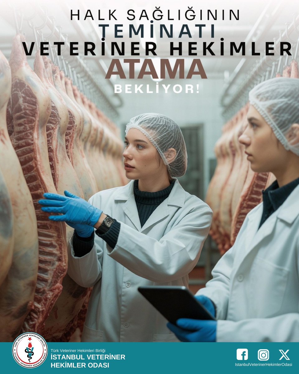 Hayvan sağlığının, gıda güvencesinin, çevre ve halk sağlığının; kendine yetebilmenin, sağlıklı nesillerin ve ekonomik refah düzeyinin teminatı Veteriner Hekimlik mesleğinin mensupları ülkesine hizmet etmek istiyor. Hizmetlerin asgari düzeyde sürdürülebilmesi için ihtiyaç duyulan