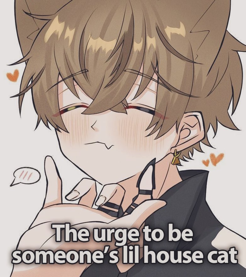 DrewwFB's tweet image. 