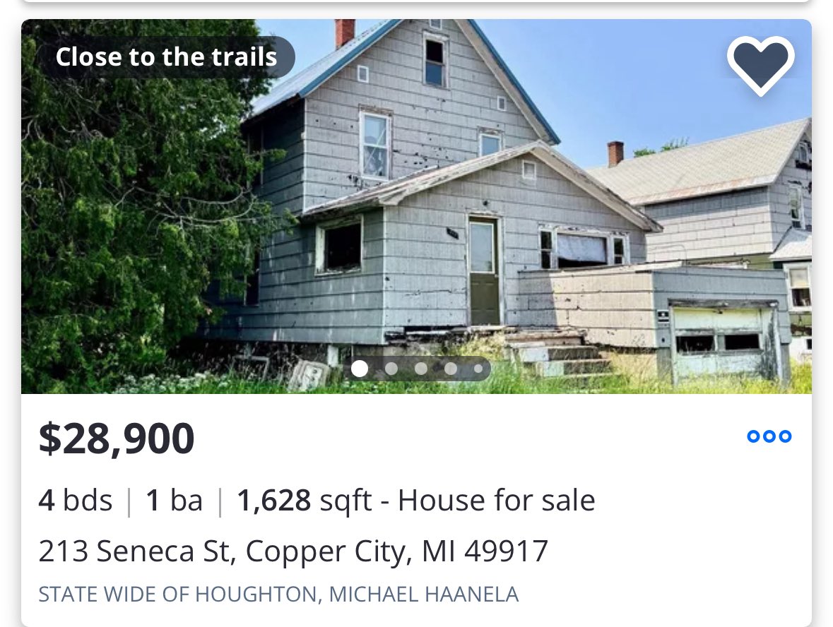 HohlyMohly's tweet image. You could move to Copper City, MI, “close to the trails” for under $29k. You could get a job at Dollar General, working your way up to manager, making $42,500 a year. You could join the Apostolic Lutheran church and meet a nice blonde gal with dozens of siblings and cousins. You…