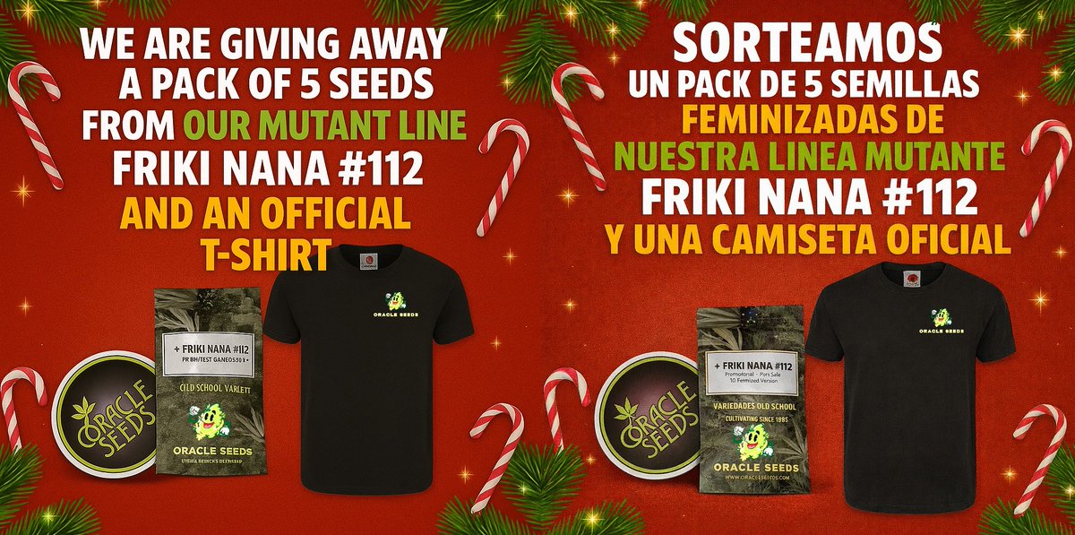 🚨 𝙊𝙍𝘼𝘾𝙇𝙀 𝙎𝙀𝙀𝘿𝙎 𝙂𝙄𝙑𝙀𝘼𝙒𝘼𝙔 🚨

🎁 𝗣𝗥𝗜𝗭𝗘𝗦
🔥 Pack of 5 FEMINIZED seeds from our EXCLUSIVE mutant line
🌱 FRIKI NANA #112 (Feminized)
👕 Official Oracle Seeds T-shirt

🚀 HOW TO ENTER
🔞 21+ only
👉 Follow <a href="/Oracle_Seeds/">Oʀᴀᴄʟᴇ Sᴇᴇᴅs Oғɪᴄɪᴀʟ® 🇪🇸</a>
❤️ Like and RT this post
👥 Tag 3