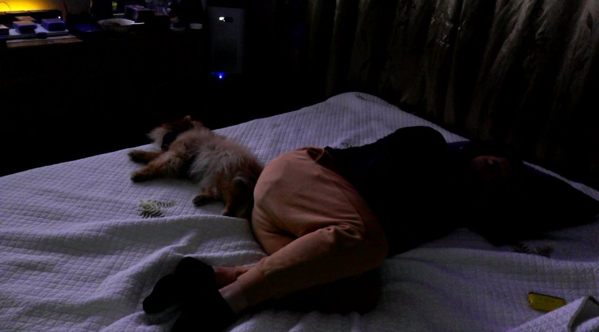 ✦ Lumiere Grimson ✦ tweet media