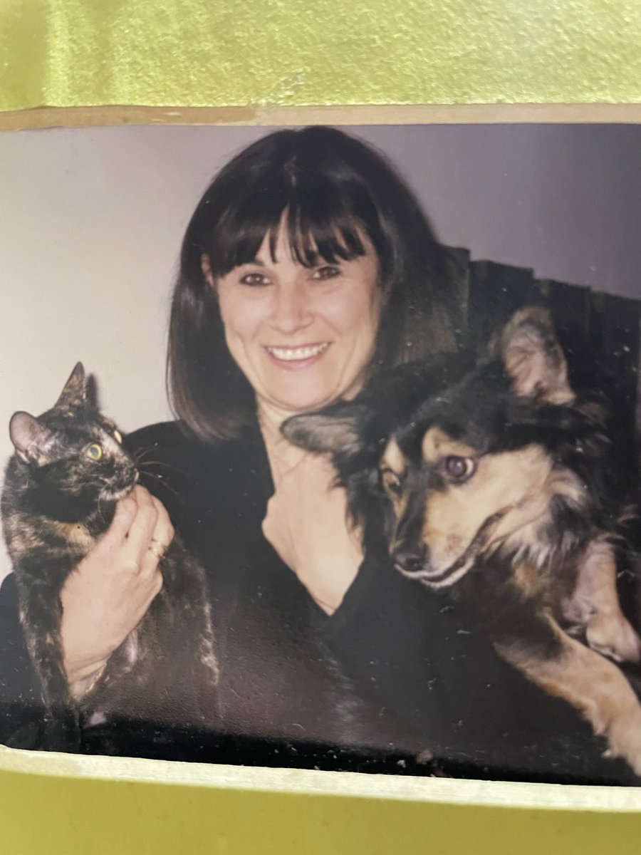 Elsi Barbi😽💝 tweet media