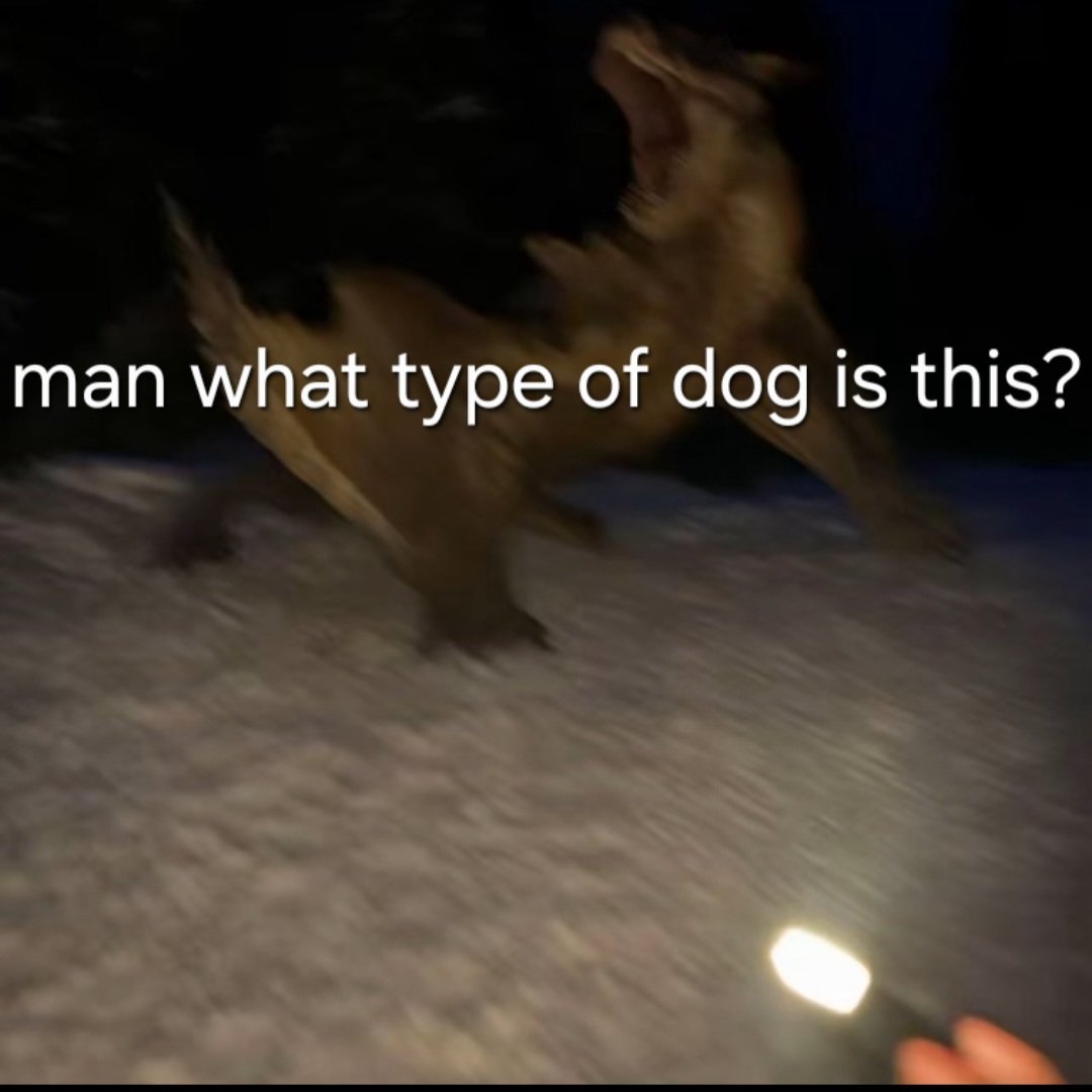 User_PlaTYp1 tweet media