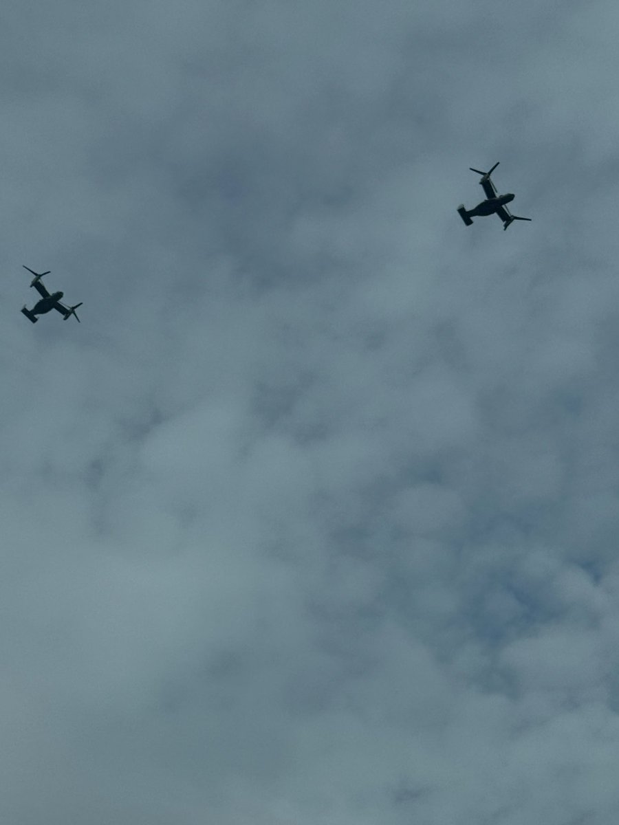 Caitlin Bergo tweet media