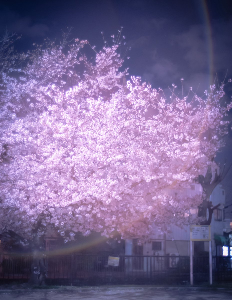 よっしー (@yoshida0421) / Posts / X