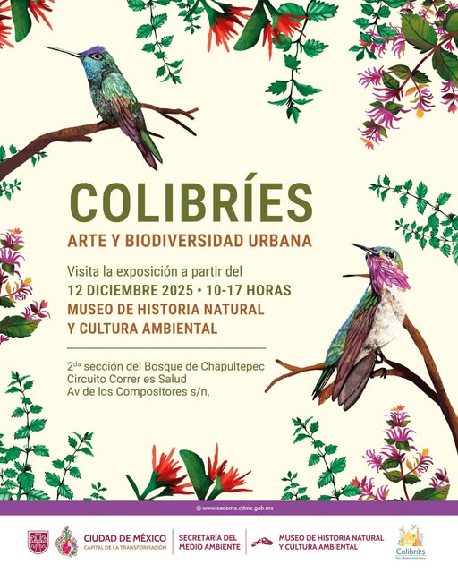 Colibríes
Exposición
Museo de Historia Natural de la Ciudad de México
<a href="/MHNCA_CDMX/">Historia Natural MX</a>
