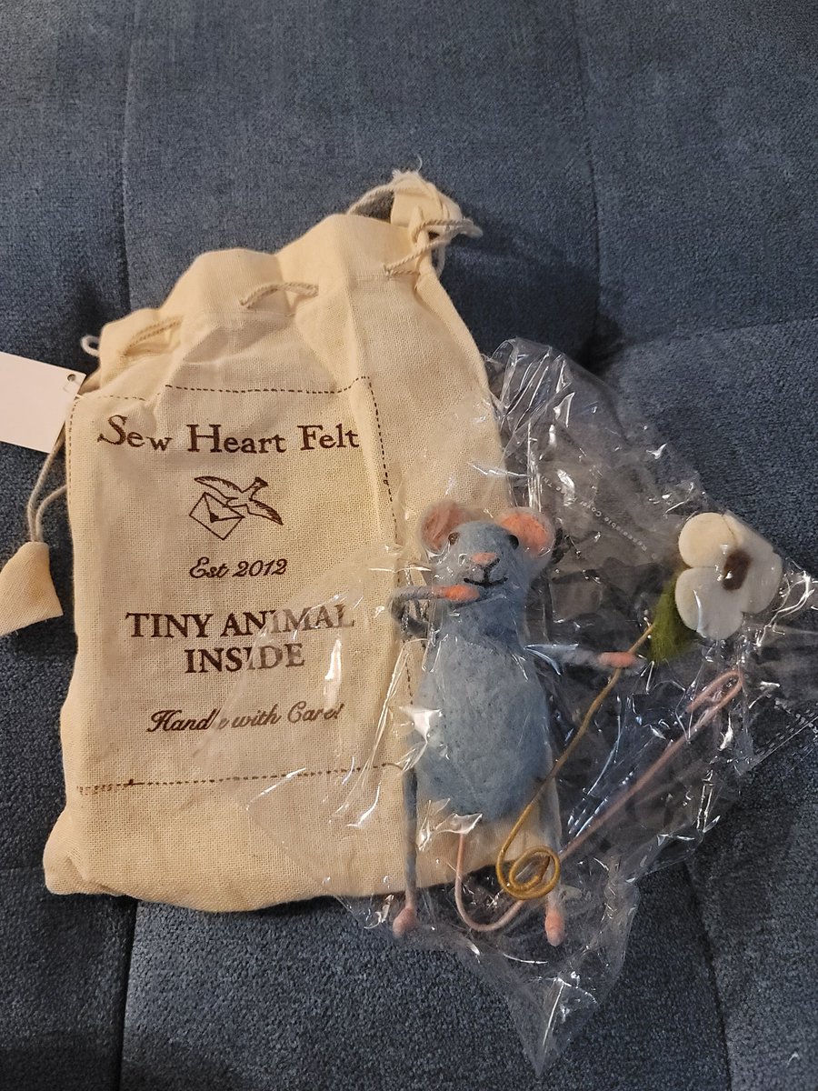 onsilla_cat's tweet photo. @DrAllyLouks is this from Sew Heart Felt?? I love that store! I've bought three mice from them 🥰 https://t.co/4GUueUWx3n