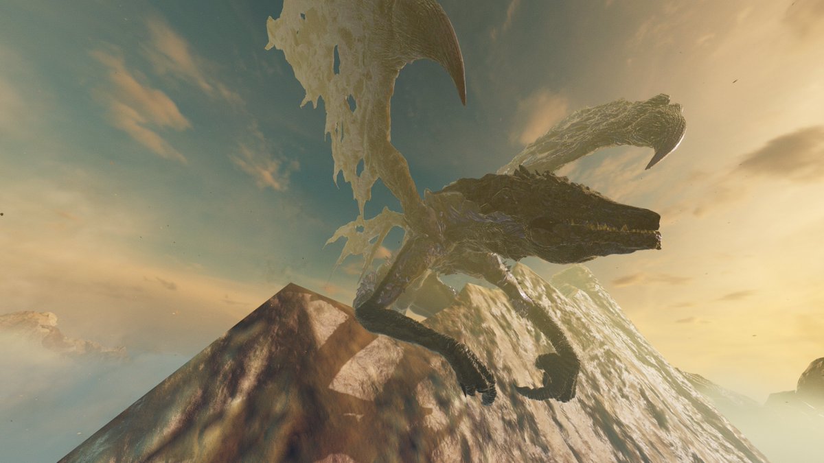 Duhey the Fennec tweet media