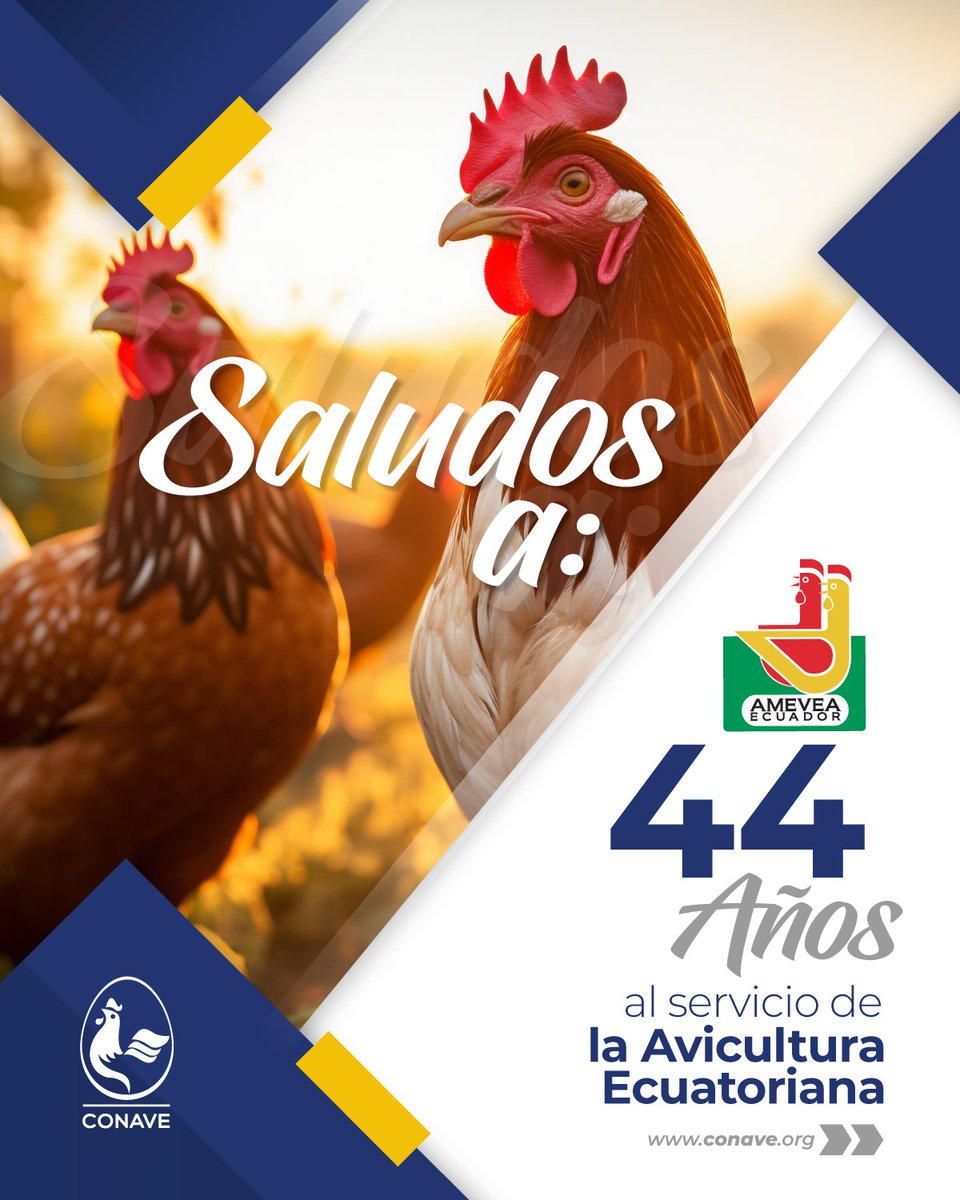 La Asociación de Médicos Veterinarios Avícolas
<a href="/AmeveaEcuador/">Amevea Ecuador</a>  se fundó en 1981 y su principal característica es ser un gremio netamente técnico cuyo principal objetivo es y ha sido impulsar la capacitación de sus socios mediante cursos, talleres y seminarios.

Como #CONAVE