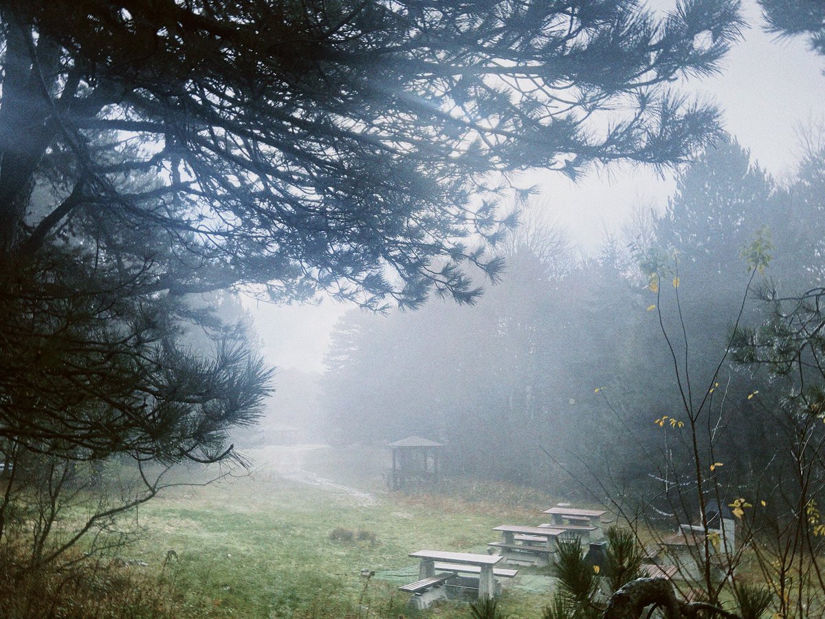 غسان tweet media