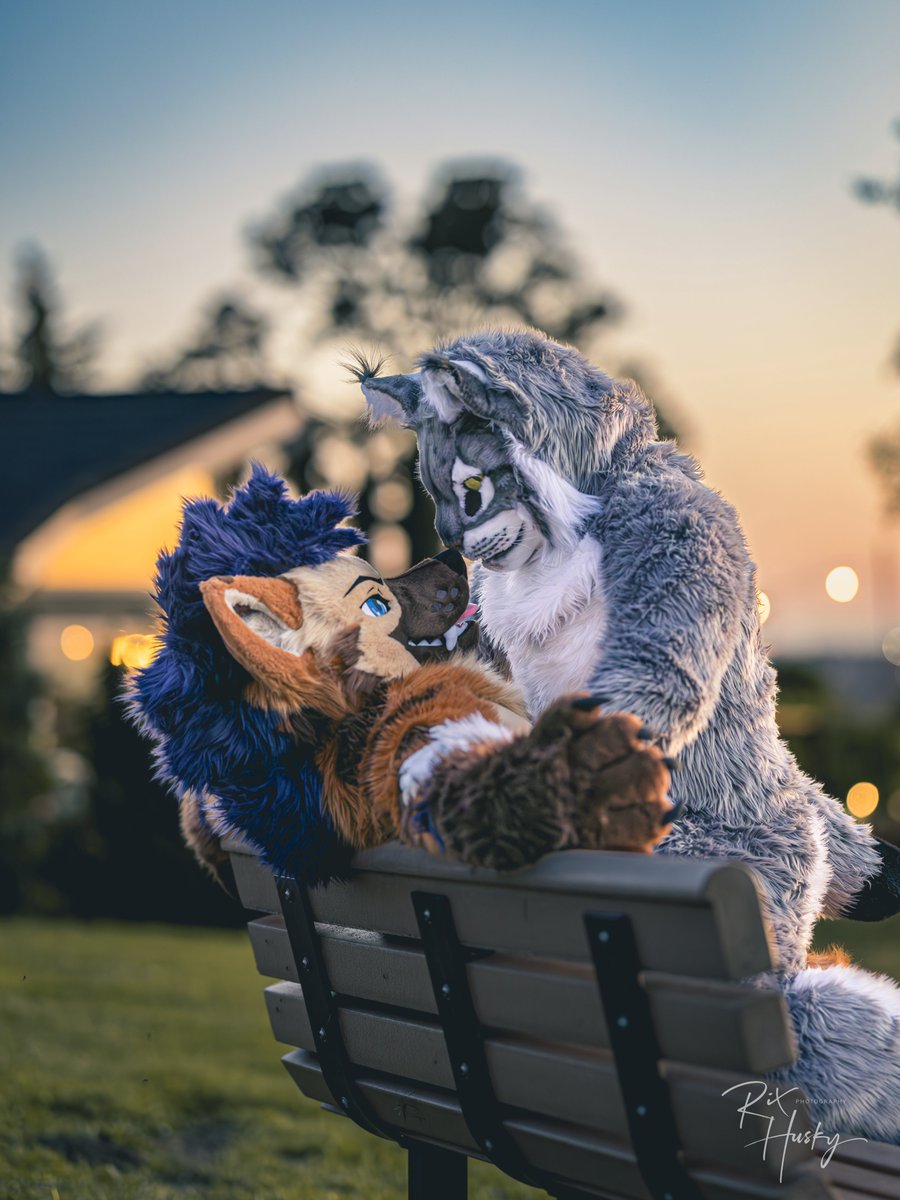 Koro 「 コロ 」🔜 🇫🇷🇳🇴🇫🇮, UTFG 🇹🇼 tweet media