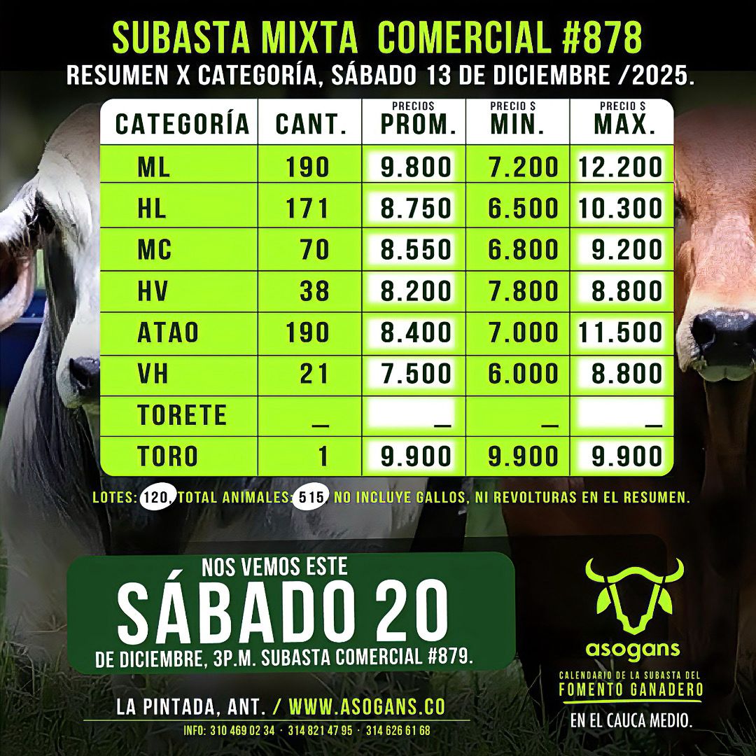LocalPintada's tweet image. Precios de la segunda subasta del mes de diciembre del 2025.
La invitación es para este sábado 20 de diciembre, subasta comercial con franja dorada en la pintada Antioquia. #ConstruyendoGanadería @Fedegan @jflafaurie @PlArauca
