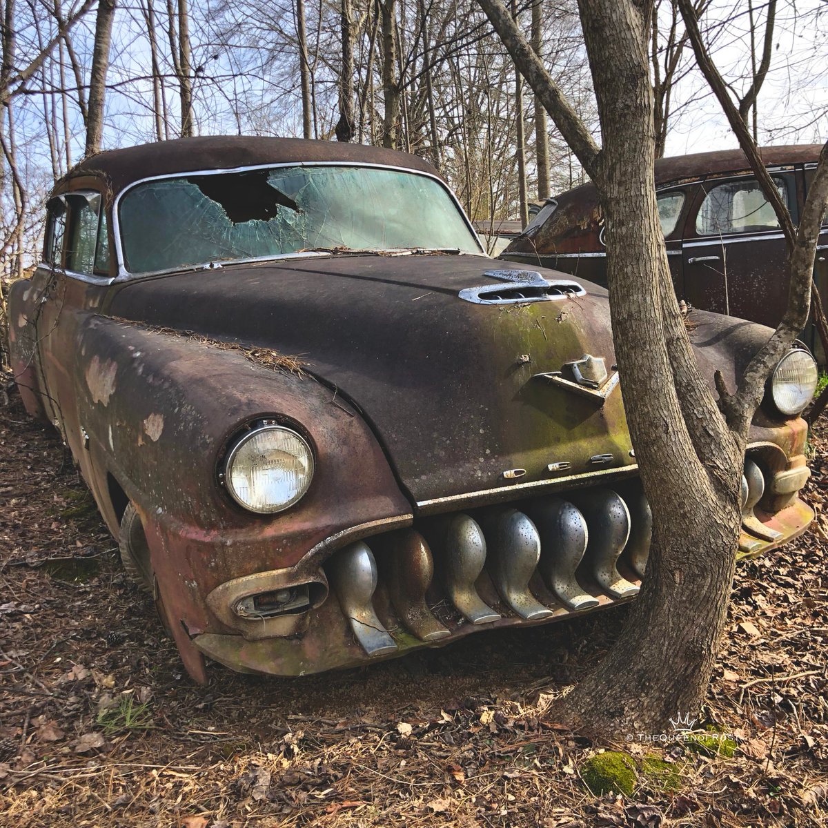 Nicknamed the ‘dollar grin’ back in the day, a rusty 1950 DeSoto with that iconic ‘toothy’ grille, is permanently parked in the woods.

Launched by Walter Chrysler in 1928 to take on Ford &amp; Chevy, DeSoto was named after Spanish explorer Hernando de Soto.
