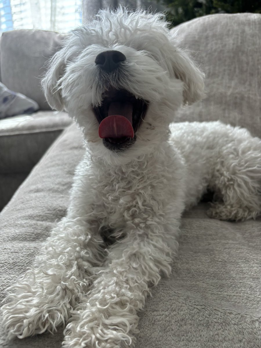 Simon! 🔮 tweet media