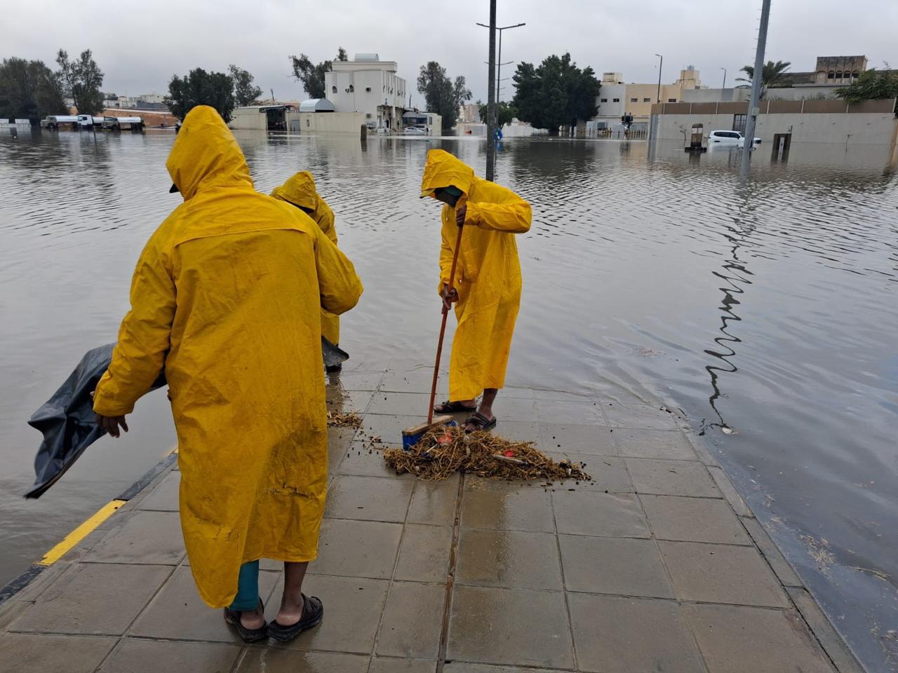 66.5 ملم أمطار تجعل عنيزة الأعلى هطولًا على مستوى المملكة. جهود أمانة القصيم في التعامل مع مياه الأمطار تستحق الإشادة؛ جاهزية ميدانية عالية، فرق تعمل على مدار الساعة، معالجة فاعلة لتجمعات المياه، ومتابعة مستمرة لضمان سلامة الطرق والأحياء. عمل منظم يعكس اهتمامًا حقيقيًا براحة السكان واستمرارية الخدمات في مختلف الظروف. #أمانة_منطقة_القصيم 