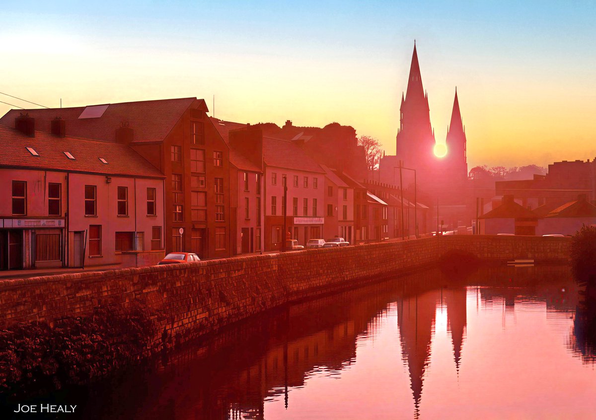 Joe Healy🇵🇸 tweet media