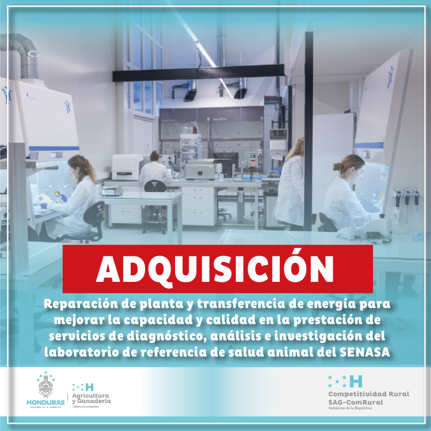 Reparación de planta y transferencia de energía para mejorar la capacidad y calidad en la prestación de servicios de diagnóstico, análisis e investigación del laboratorio de referencia de salud animal del SENASA
comrural3.comrural.hn/adquisiciones/