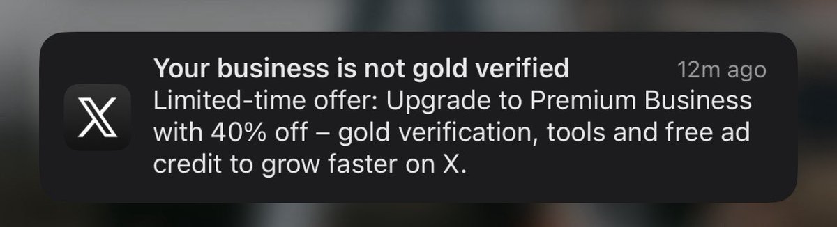 I would *love* to know what “business” you think I’m running here 💀