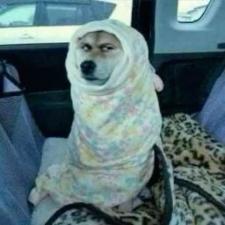 You follow back?😒😒