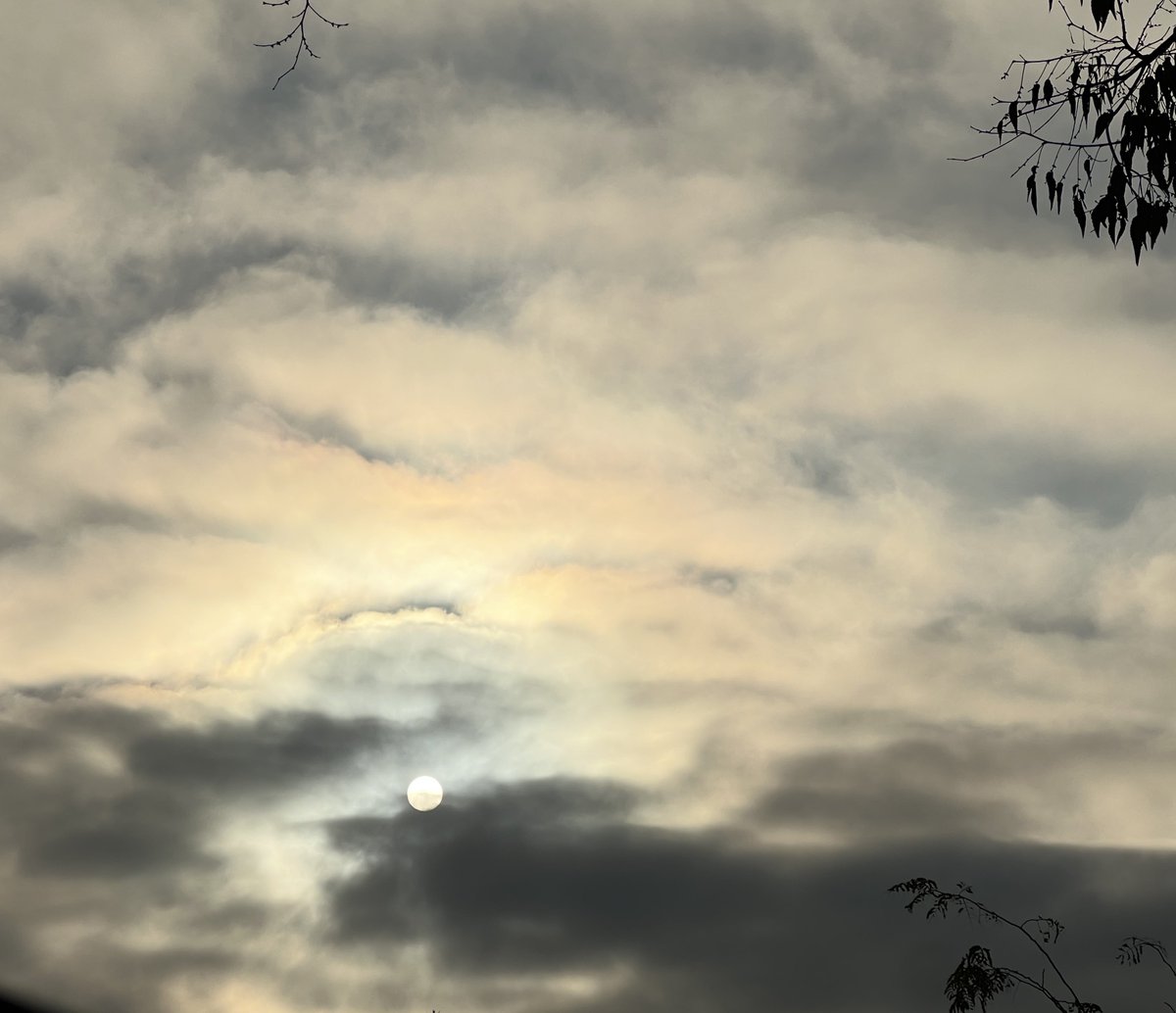 smilesmeanalot's tweet image. For the fog lifted yesterday. The sun came out. The skies turned beautiful. The character in the trees show more when its cold. #smiles #loveyourself