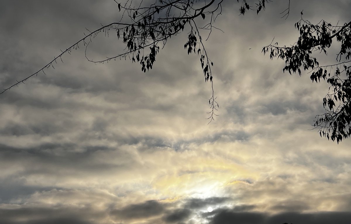 smilesmeanalot's tweet image. For the fog lifted yesterday. The sun came out. The skies turned beautiful. The character in the trees show more when its cold. #smiles #loveyourself