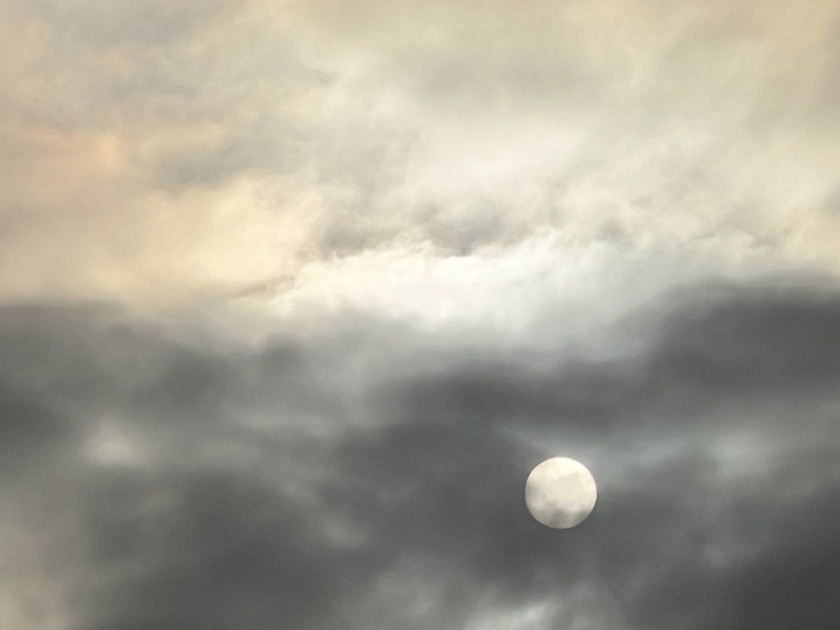 smilesmeanalot's tweet image. For the fog lifted yesterday. The sun came out. The skies turned beautiful. The character in the trees show more when its cold. #smiles #loveyourself