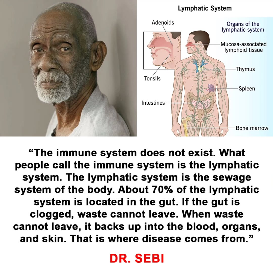 DrSebiSeaMoss's tweet image. Most people keep trying to boost the immune system, that’s not the problem.

The problem is waste that never left.

When the colon is backed up, the lymph has nowhere to drain. Waste spills into the blood and shows up as skin issues, fatigue, inflammation, and “mystery” symptoms.…