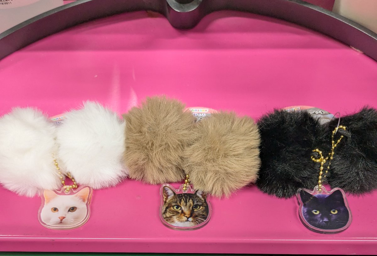 こんにちは！はじめです🫡 先日出社すると私のデスクに・・ 確か