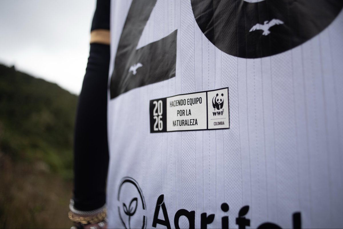 Somos todas las caras de Bogotá.

#EstaHistoriaEsDeTodos 🤍🖤💛

Compra la tuya: boletas.interbogota.com