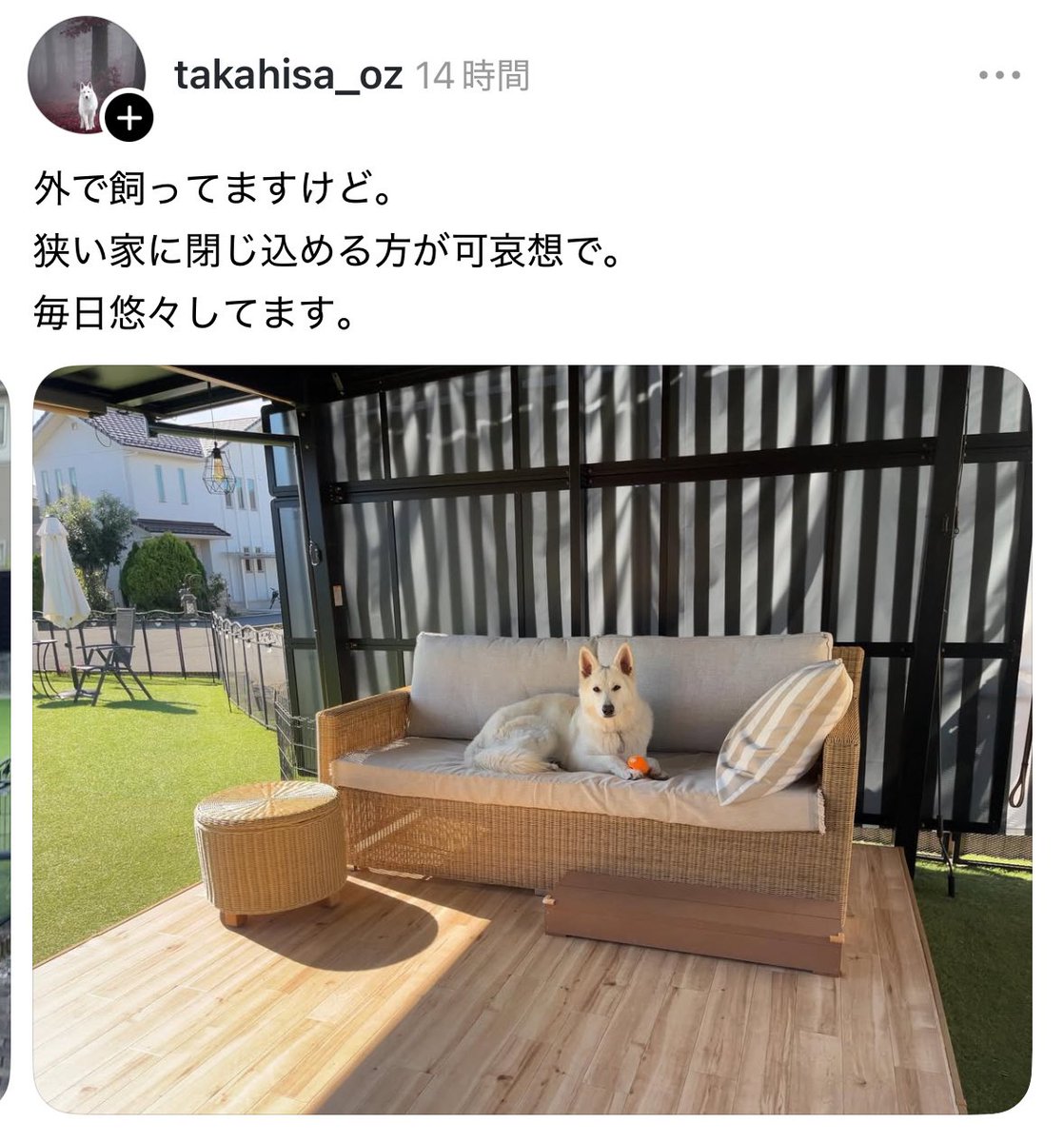 モグアイ (@mogumoguaiai) / Posts / X