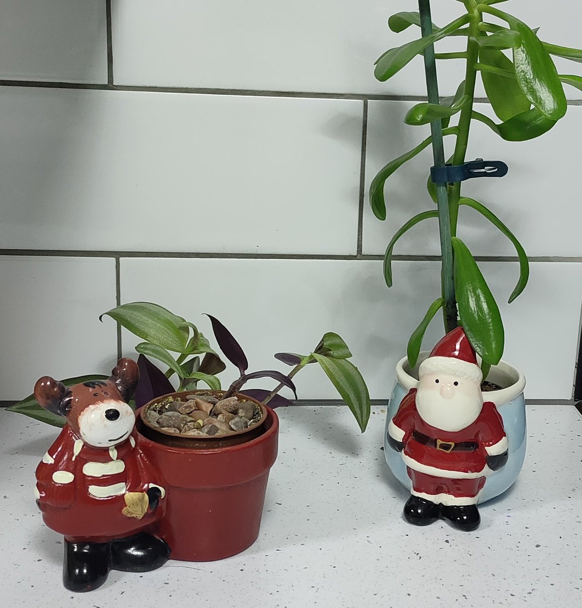 Nearly christmas 🎄🎄🎄
Moms got these lovely Novelty christmas pots for sale with house plant🎅🎅
facebook.com/share/1AJ4SzZ6…
#Christmas #plantpot #cats