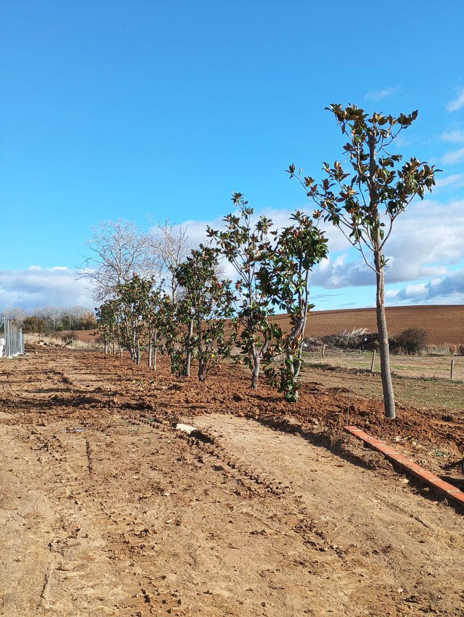Jardinería - Tareas de limpieza y plantación. 
#ViverosBoecillo #ViverosRabadanYCalleja
#PrispalGarden
#AhoraFloresYPlantas