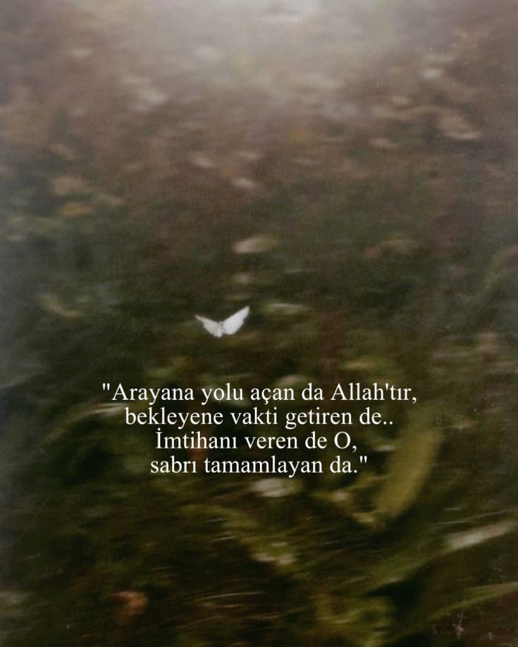 Meryem (@meryem_skr) on Twitter photo 