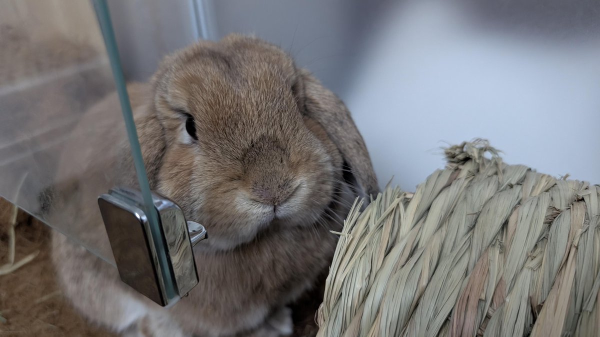 以下省略三百字