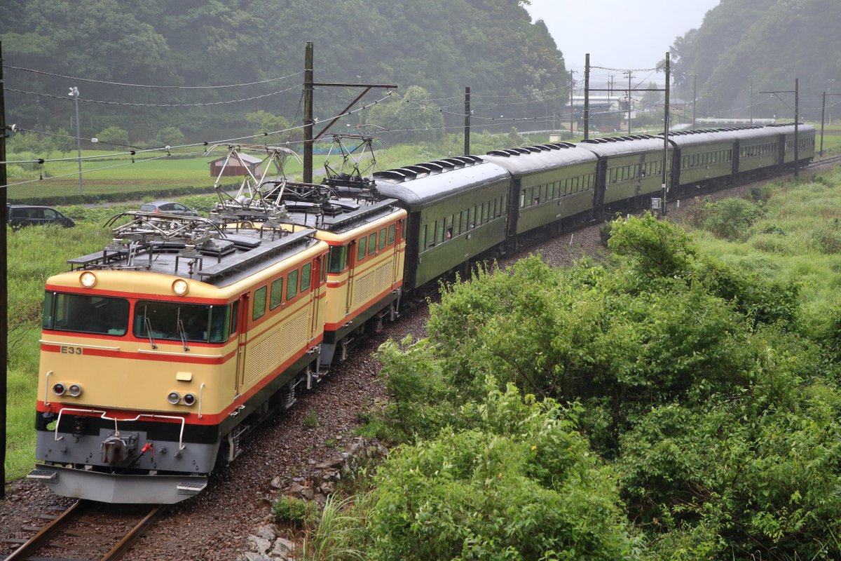 さんのくち Amazon.co.jp: 超ねんじゅーかいさい カードでおーえん！ たまごっち