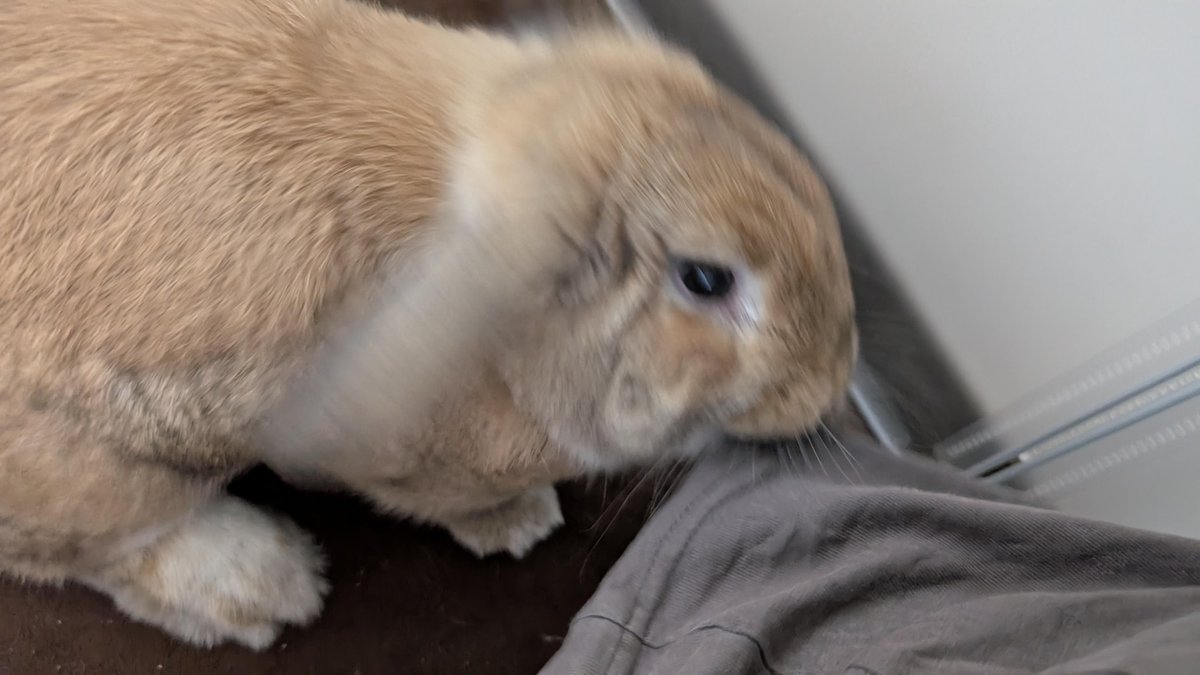 今天穿错衣服了😩