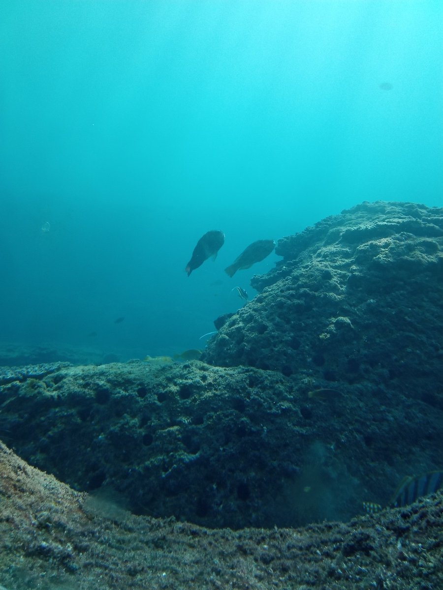 『海底の古備前』 令和6年度備前市埋蔵文化財管理センターわくわく企画展「海の古備前