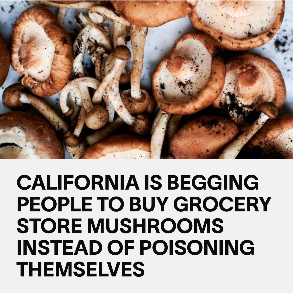 VICE tweet media
