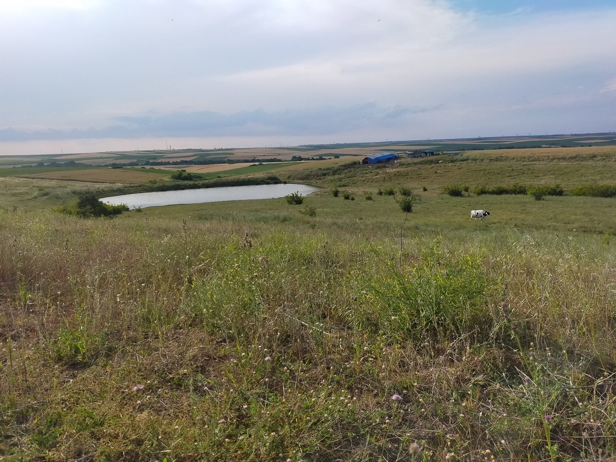 الريف التركي