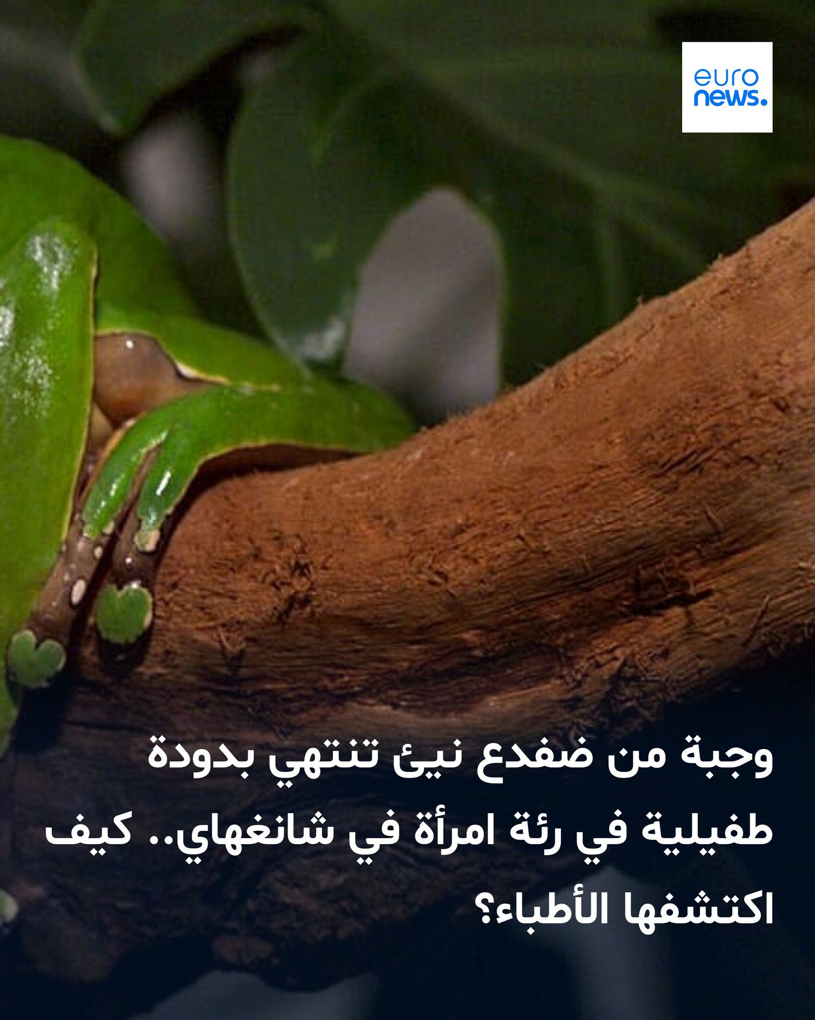 يُعد تناول اللحوم النيئة، بما في ذلك الحيوانات الصغيرة وهي لا تزال حية، تقليداً ثقافياً راسخاً في بعض مناطق آسيا، ويُستخدم أحياناً كعلاج شعبي 