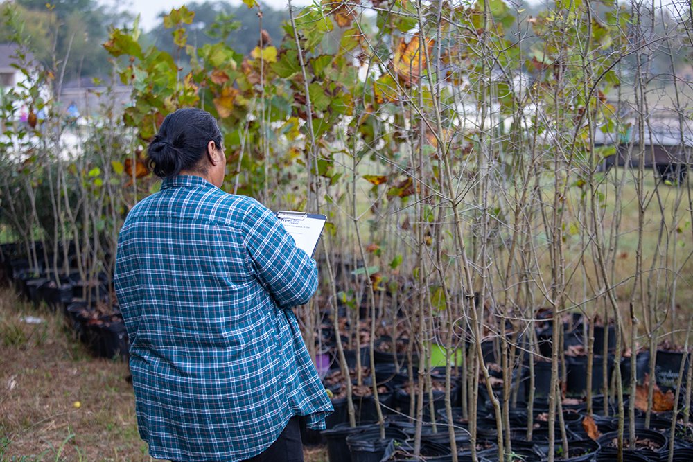 HarrisCoPct2's tweet photo. Great news for Pct. 2! @hcfcd planted 3,500 native trees around the Lauder Stormwater Detention Basin, complementing the new trail we added last year.
It's part of #ForUsTree led by @HARCresearch  bringing greener, more flood-resilient spaces to underserved areas. https://t.co/8BbJ4q0YTb