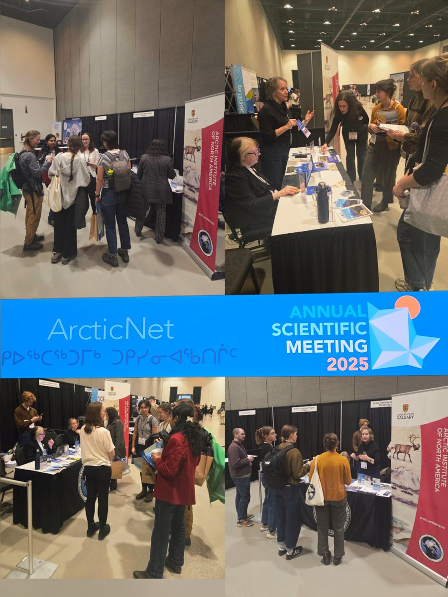 Arctic Institute tweet media