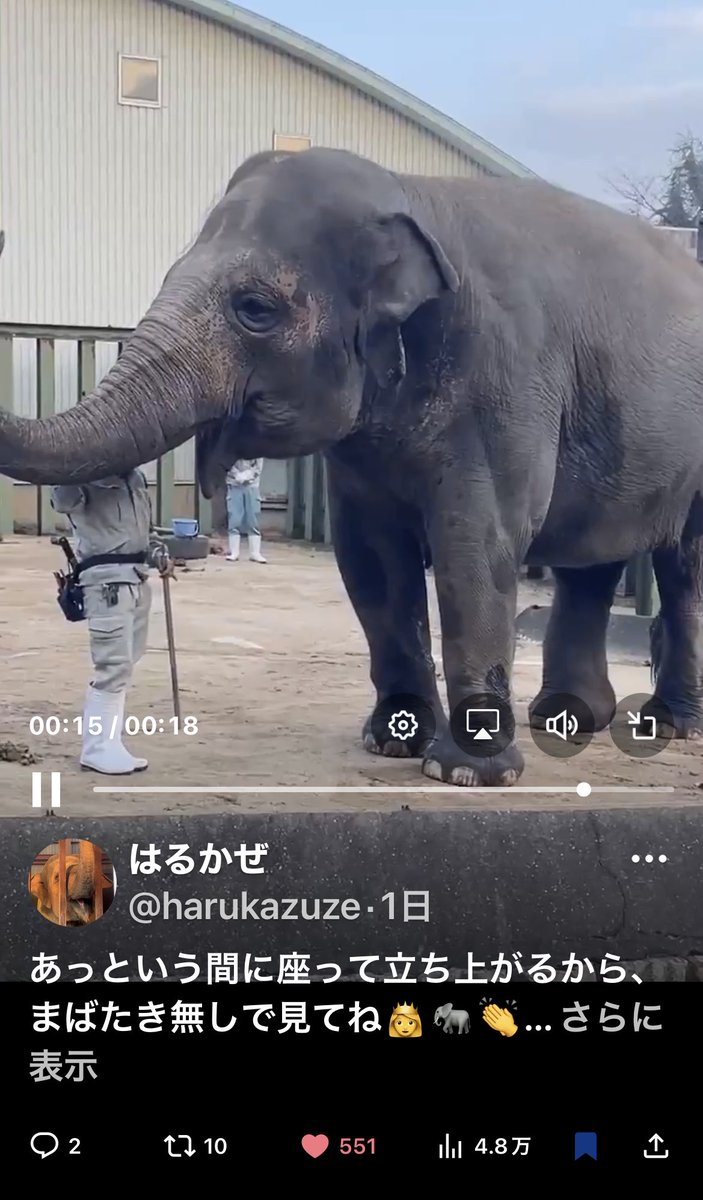 はるかぜ (@harukazuze) / Posts / X