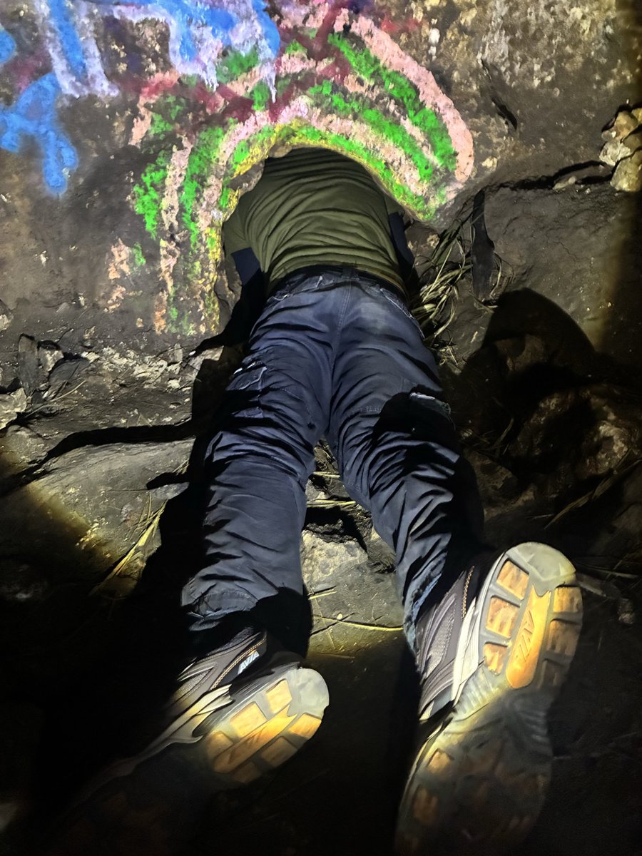 FuzzyCheats's tweet photo. Cave things lol https://t.co/1SNqK6AAc3