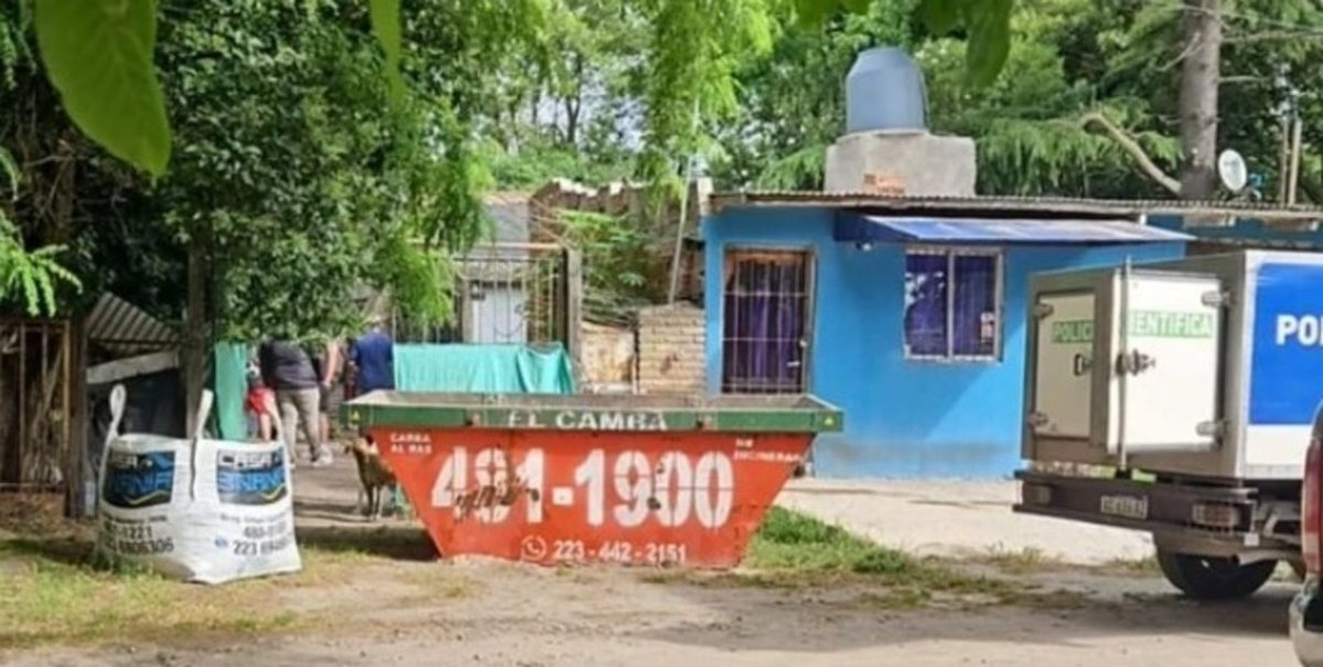 MATÓ A 10 PERROS Y MURIÓ TRAS CONSUMIR EL VENENO QUE LES HABÍA DADO

En Mar del Plata, una mujer fue encontrada muerta dentro de su casa rodeada por más de diez perros también muertos. Según el portal 0223, envenenó a las mascotas, consumió lo mismo que les suministró y luego “se