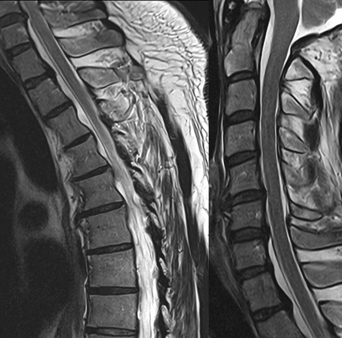 Marcel Maya tweet media