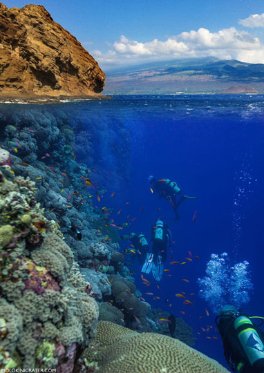 molokini's tweet photo. Get up to speed on Molokini in 2025. This update breaks down what the crater is made of, why its fish life is so dense, the pressures from tourism and warming seas, and how managers are trying to protect one of Maui’s most famous snorkel spots.
https://t.co/AR34n7CFAg https://t.co/jhvAPoAIhC