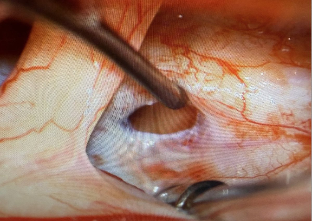 Marcel Maya tweet media