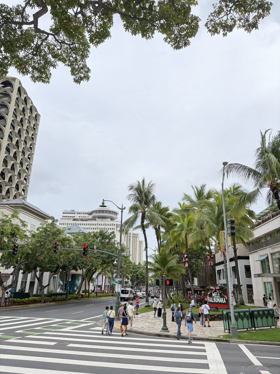 Hawaiine＠ハワイ在住・毎日更新中🇺🇸 (@hawaiine55) / Posts / X