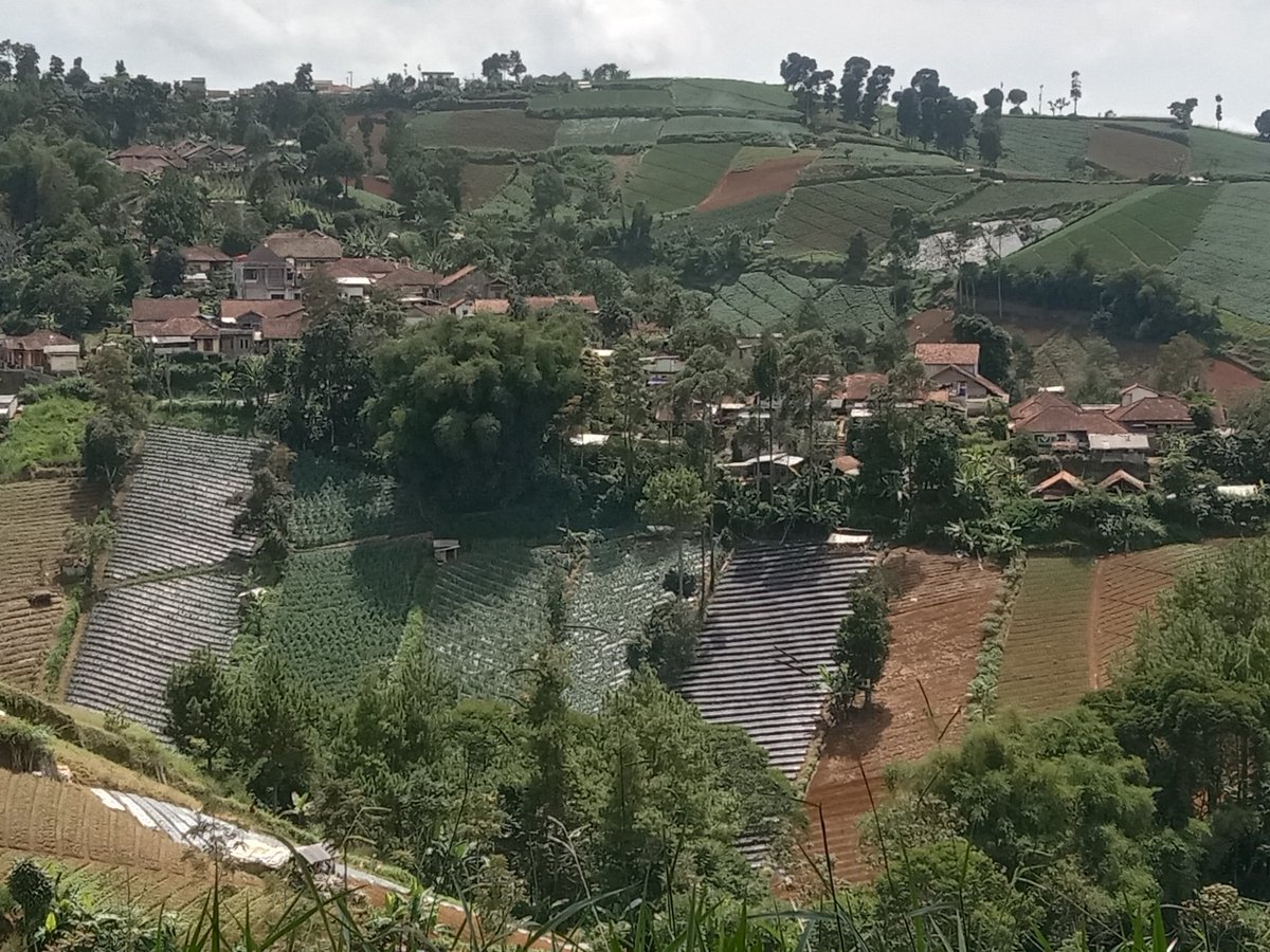 EYulihastin's tweet photo. Scrolling X: I can't stop crying. Please forgive me for too late in warning the devastating impact of the tropical storm. Forgive me in suggesting to self-evacuate immediately. Please...😭

*Picture taken from the highest place in Bandung. https://t.co/nKcippGL6u